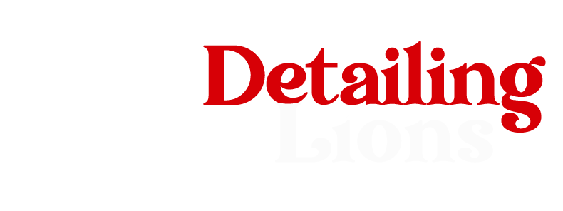 Detailing Lions